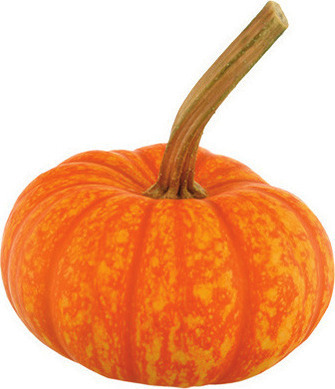 Fall Ornamentals