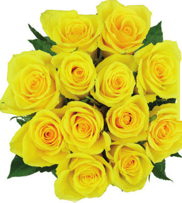 Market Bunch Dozen Roses