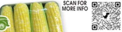Sweet Corn