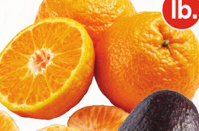 Orri Mandarins
