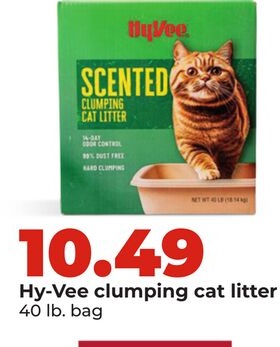 Hy-Vee clumping cat litter