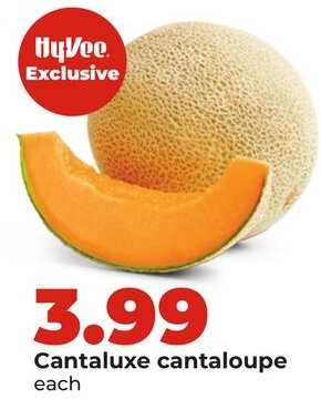 Cantaluxe cantaloupe