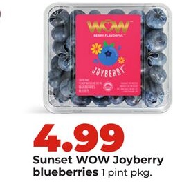 Sunset WOW Joyberry blueberries