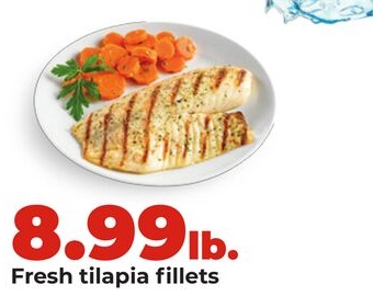 Fresh tilapia fillets