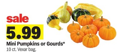 Mini Pumpkins or Gourds*