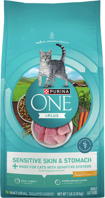 Purina ONE Dry Cat Food