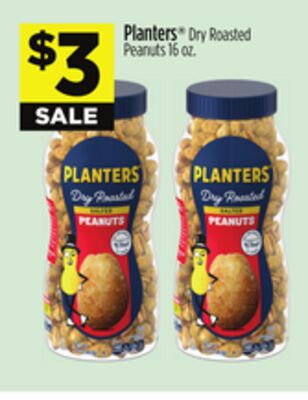 Planters® Dry Roasted Peanuts