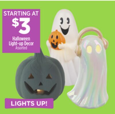 Halloween Light-up Decor