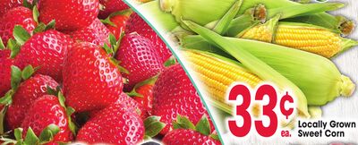 Locally Grown Sweet Corn