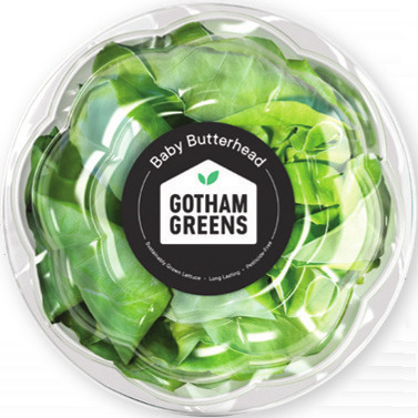 Gotham Greens Baby Butterhead Lettuce