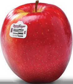 SweeTango Apples
