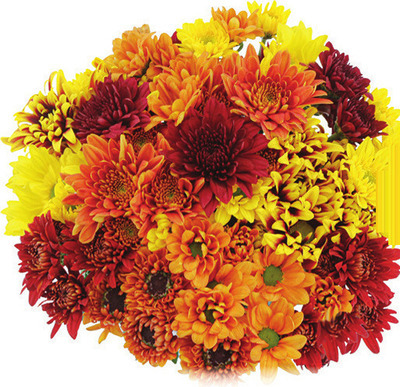 Mega Fall Rainbow Pompons
