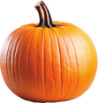 Locally Grown Orange Pumpkins