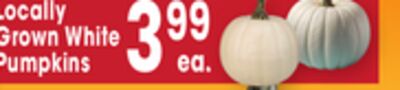 Locally Grown White Pumpkins