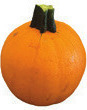 Fall Ornamentals