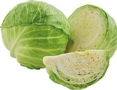 Green Cabbage
