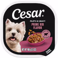 Cesar Wet Dog Food