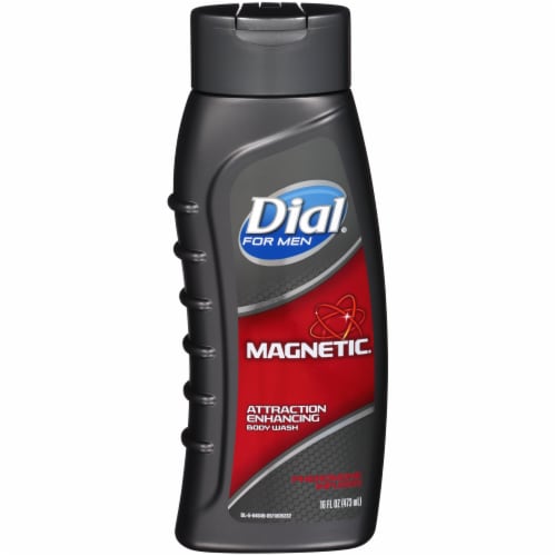 Dial Men's Body Wash