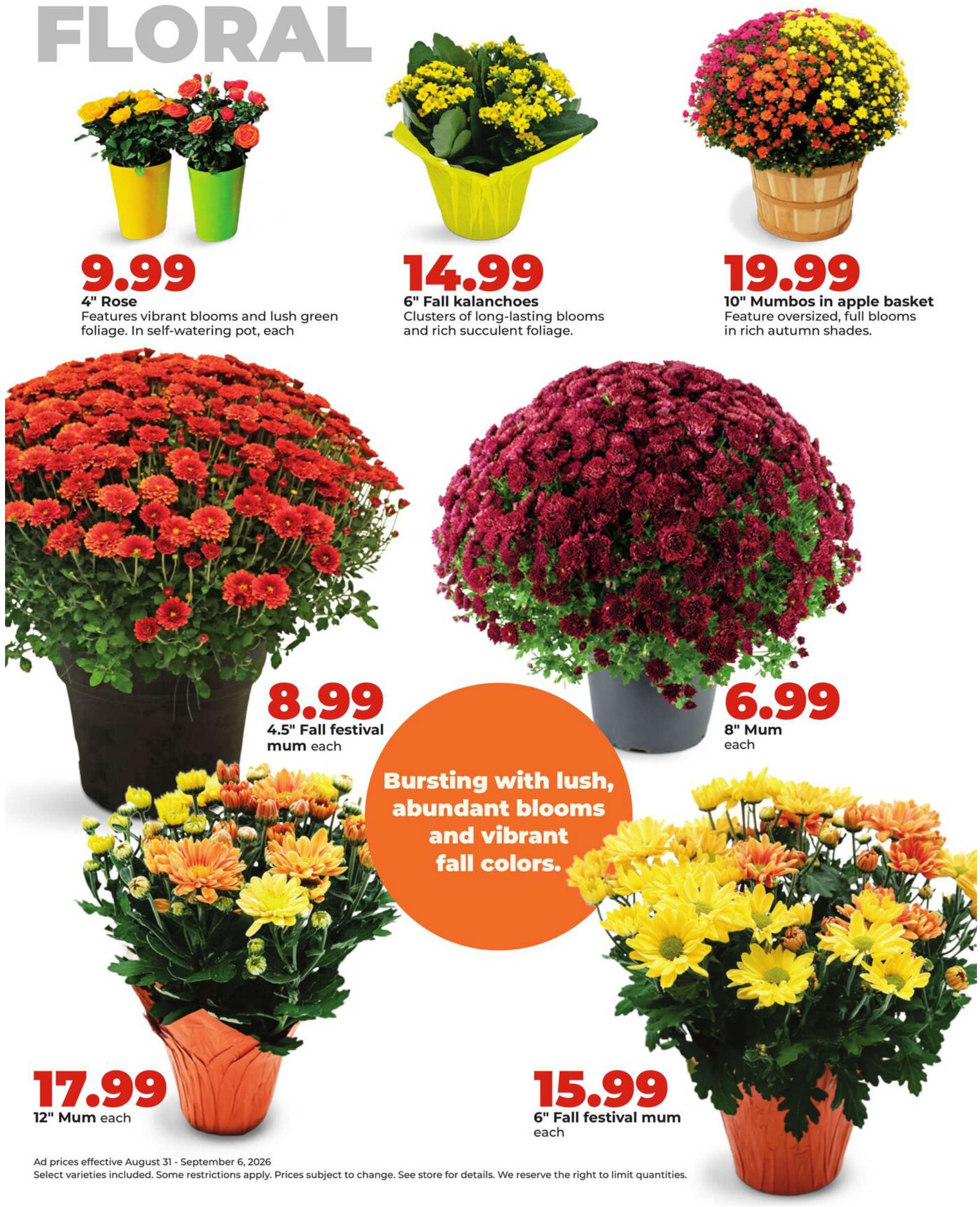 Hyvee Weekly Ad Page 37