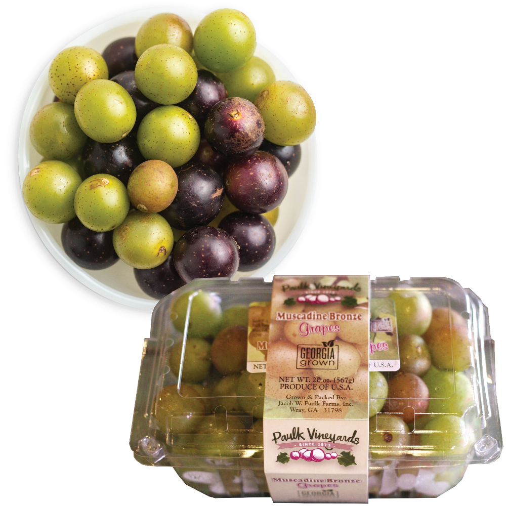 Georgia Grown Muscadine Grapes