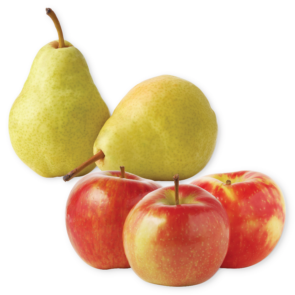 Honeycrisp Apples or Bartlett Pears