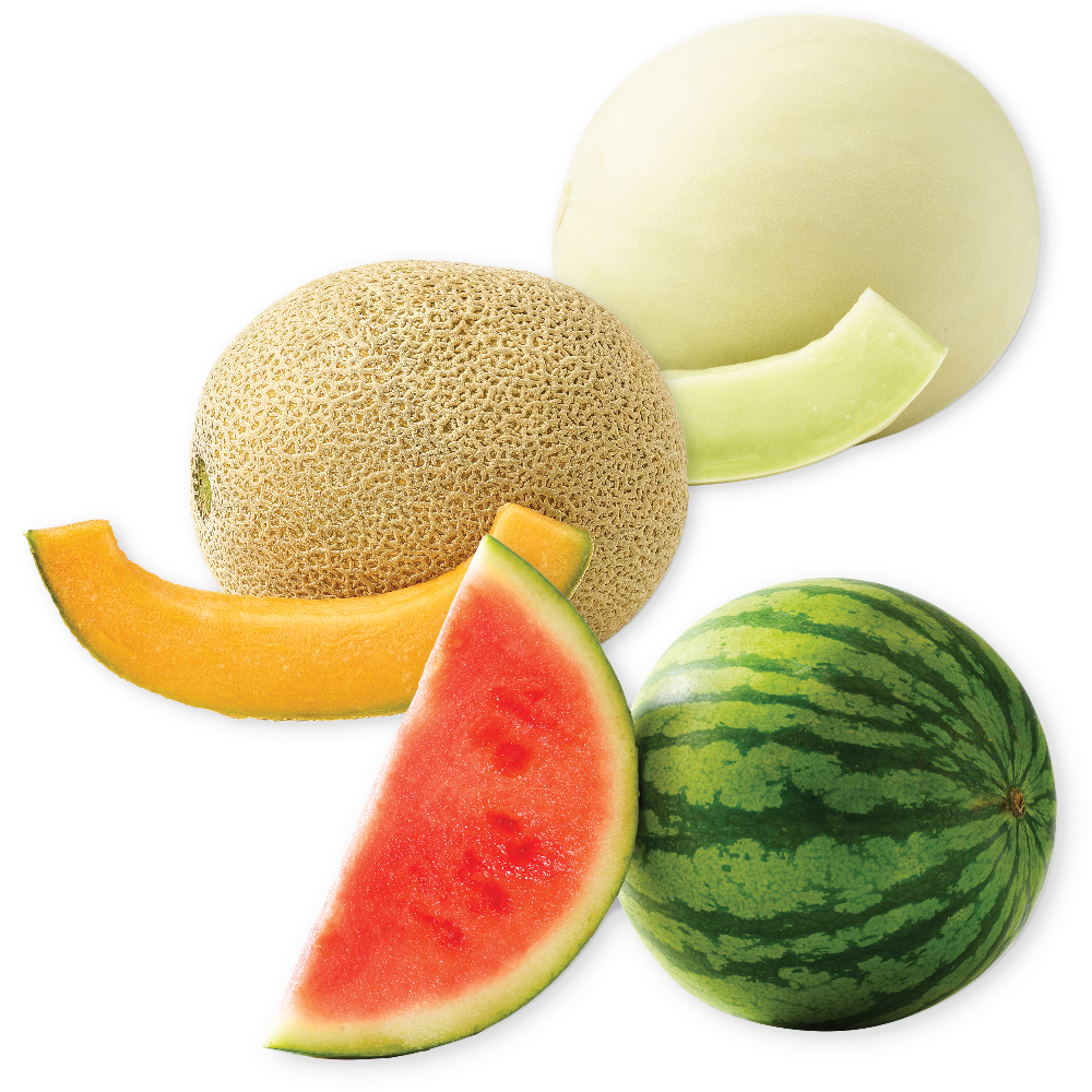 Personal Watermelon, Cantaloupe or Honeydew Melons