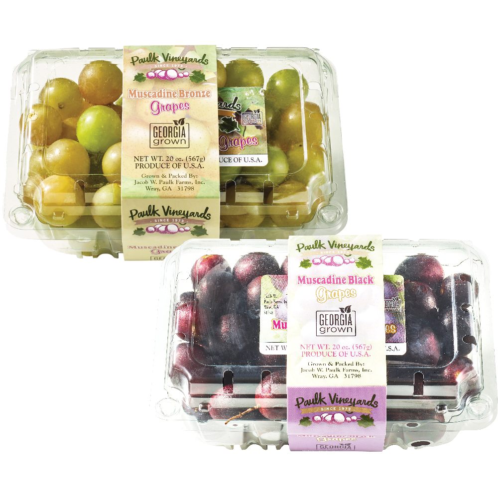 Georgia Grown Muscadine Grapes