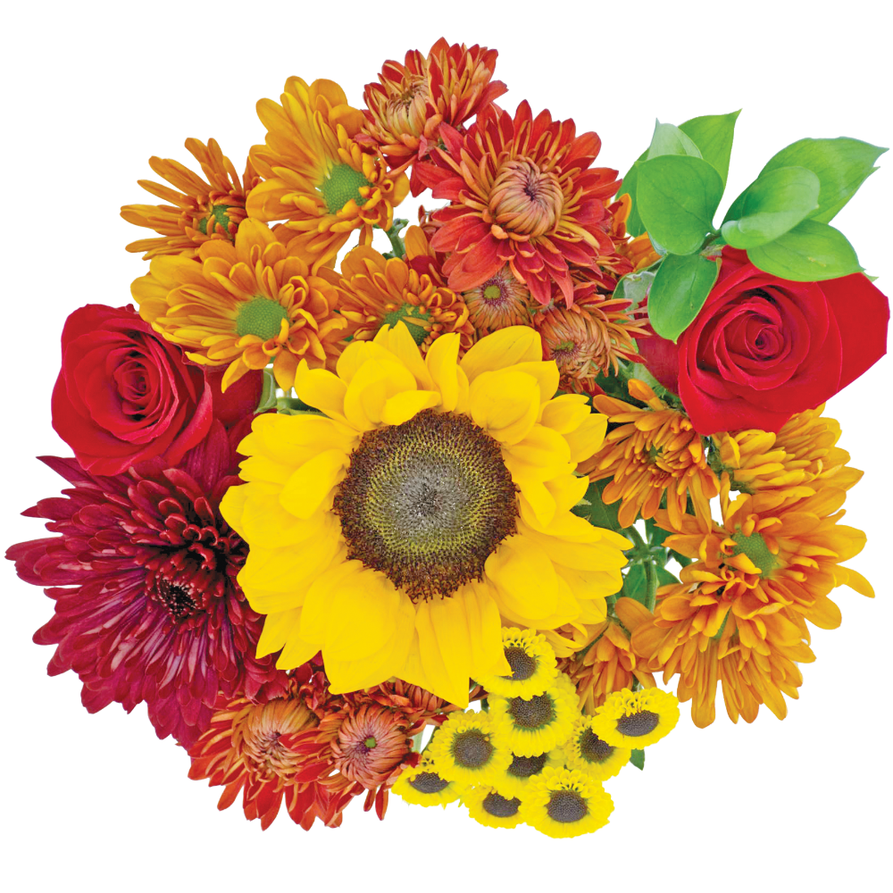 Bloom Haus Golden Ray Bouquet