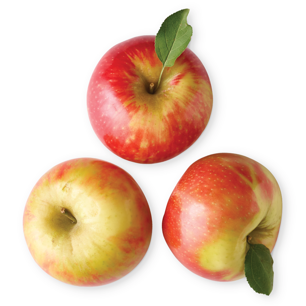 Honeycrisp Apples