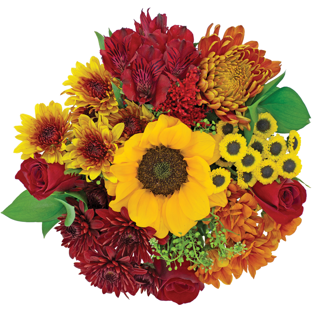 Bloom Haus Autumn Patch Bouquet