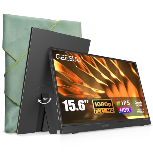 Portable Monitor 15.6