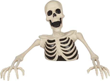 Groundbreaker Skeleton, 35 in.