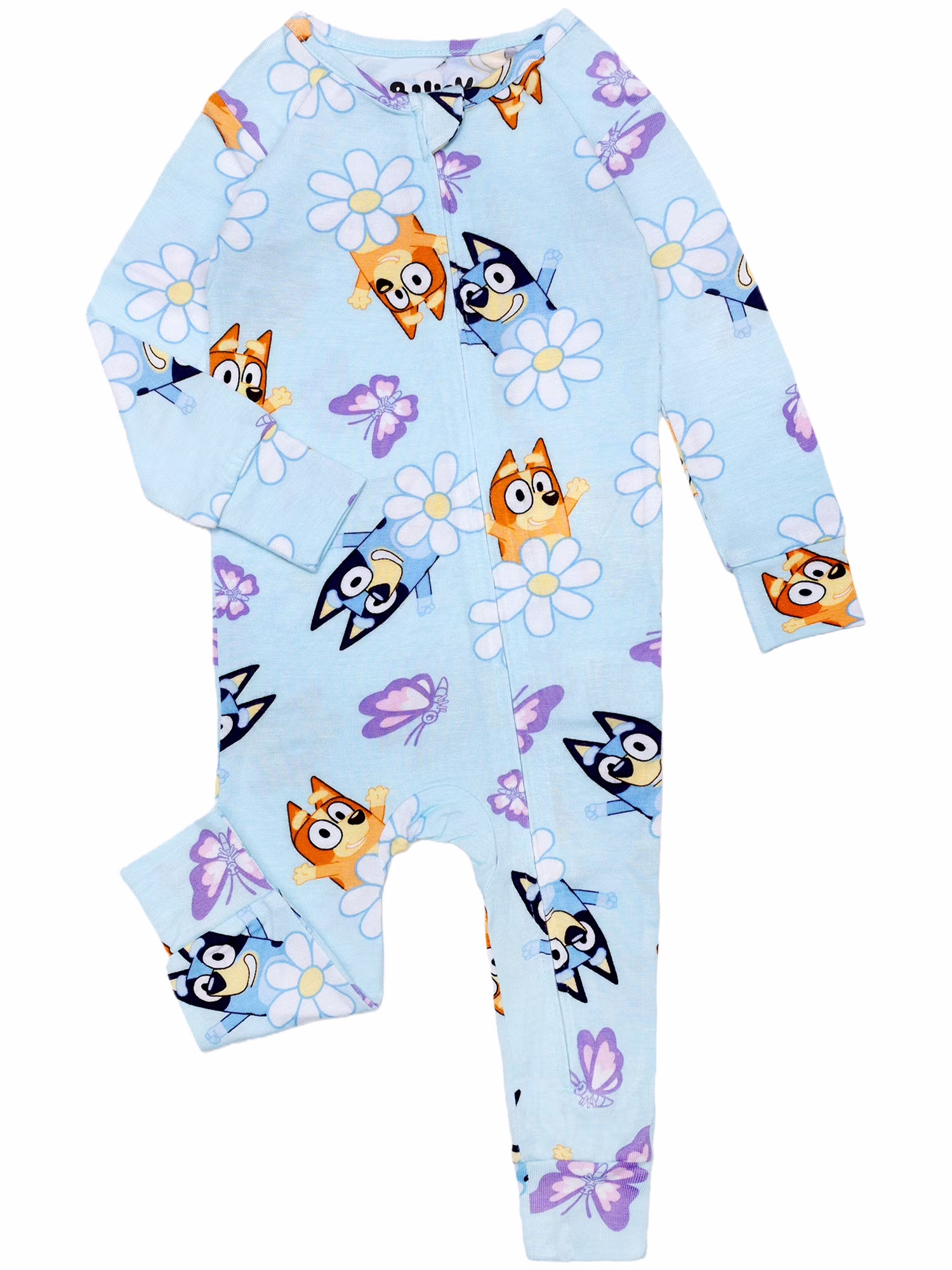 Bluey Spring