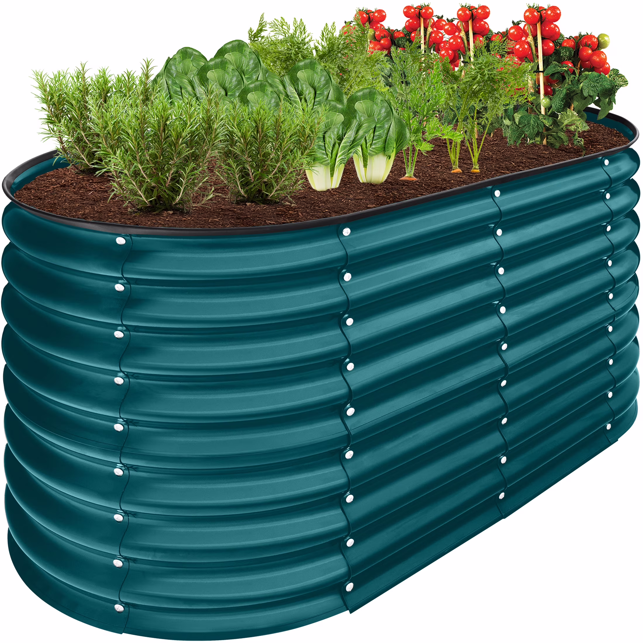 Peacock Blue