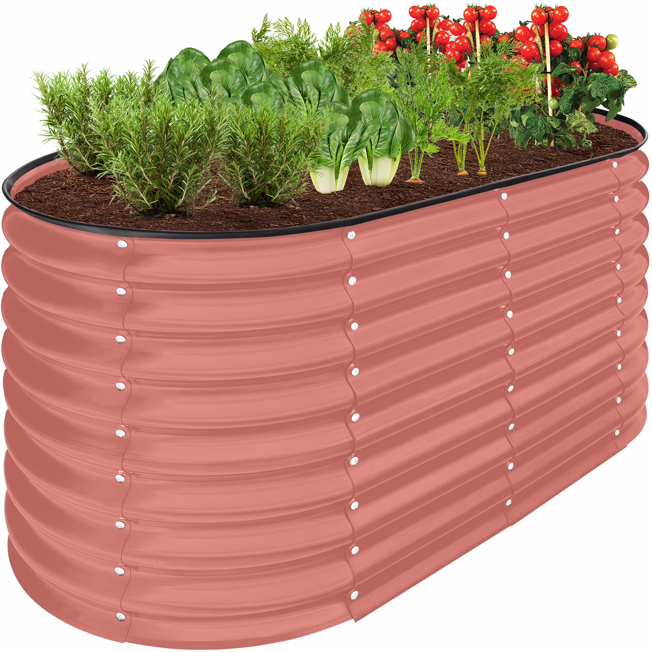 Terracotta