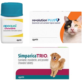 Member-Only Pet Rx Savings Available