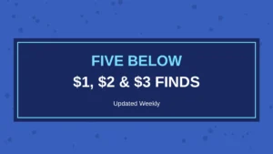 $1, $2 and $3 Finds at Five Below This Week (Updated September 18, 2026)