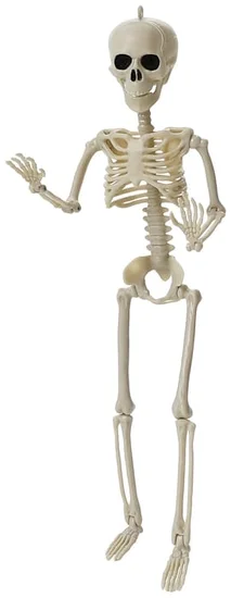 Halloween Posable Skeleton 1ft.