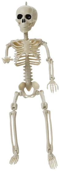 Halloween Posable Skeleton 1ft.
