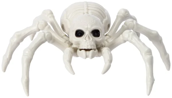 Halloween Skeleton Spider Décor