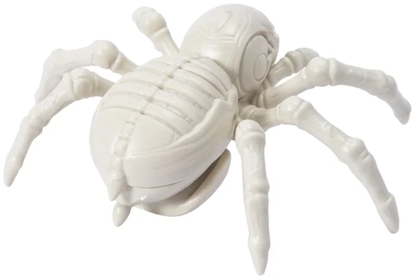 Halloween Skeleton Spider Décor