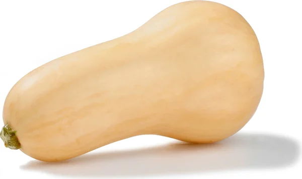 Fresh Butternut Squash, Each