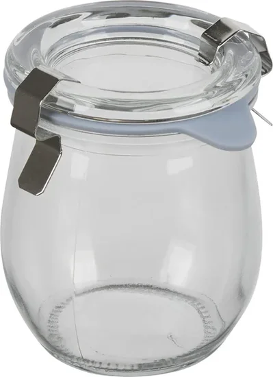 Holly Williams Mini Clear Glass Storage Canister with Clamp Lid