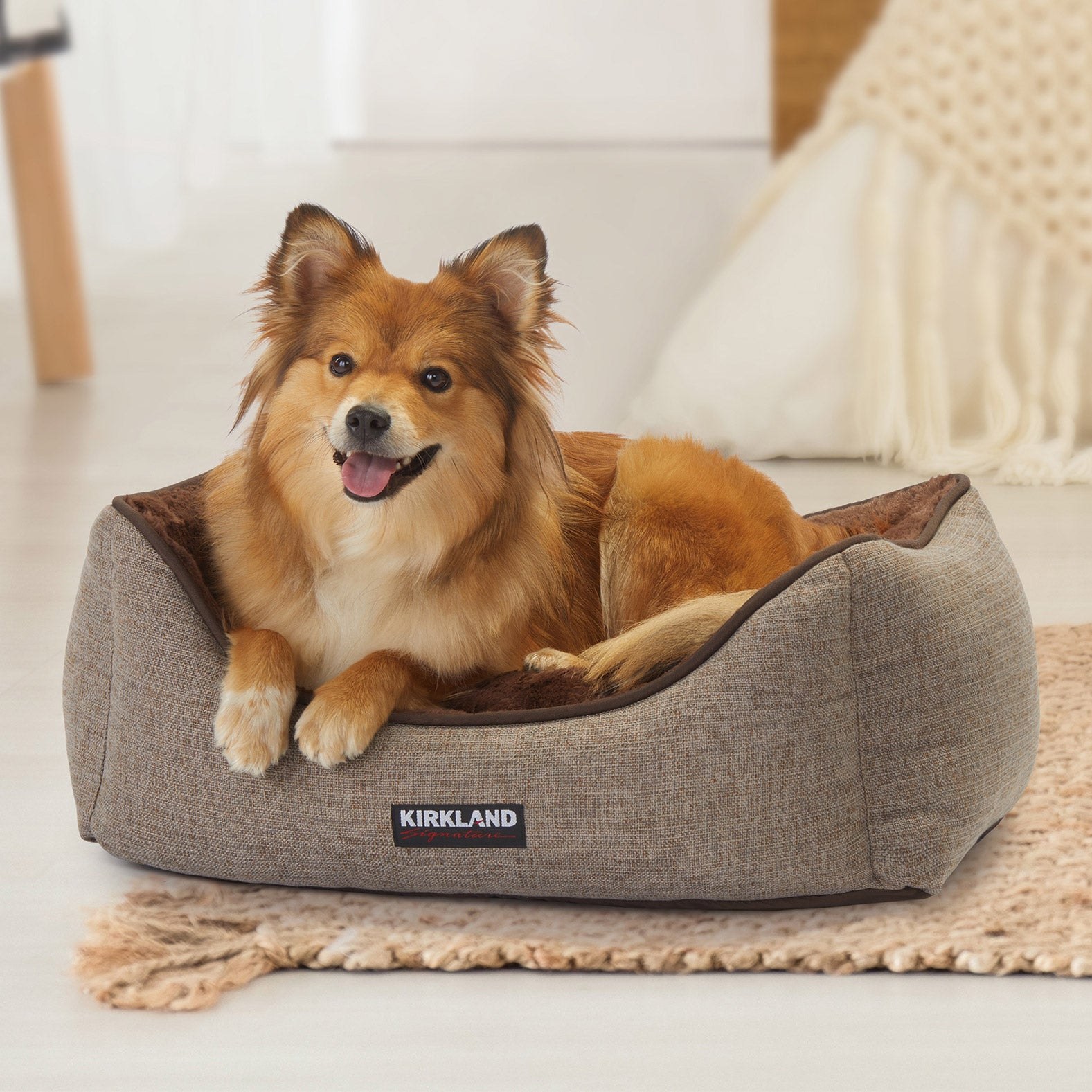 Costco Quietly Lowered the Price on Its New Pet Bed