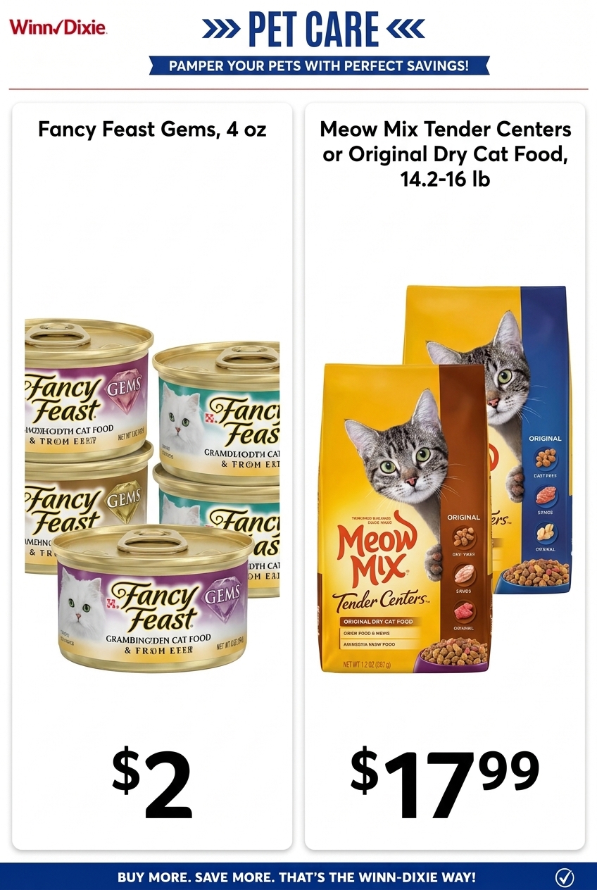 Pet Care Flyer