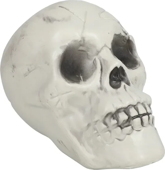 Plastic Halloween Skulls, 6x4.25 in.