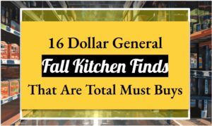 16 Dollar General Fall Kitchen Finds That Are Total Must Buys