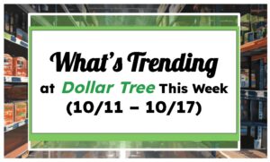 What’s Trending at Dollar Tree This Week (10/11 – 10/17)