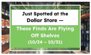 Just Spotted at the Dollar Store — These Finds Are Flying Off Shelves (10/24 – 10/31)