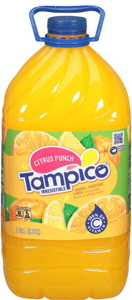 Tampico Citrus Punch Juice Drink